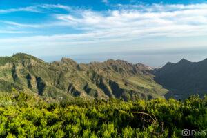 tenerife trip (458)